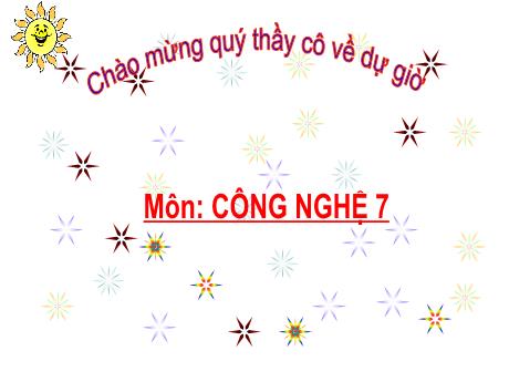 Bài giảng môn Công nghệ Lớp 7 - Chủ đề 3, Bài 6: Rừng ở Việt Nam