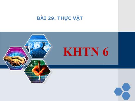 Bài giảng môn KHTN Lớp 6 - Bài 29: Thực vật