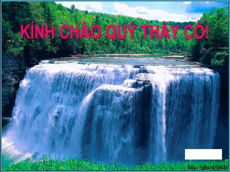 Bài giảng môn KHTN Lớp 7 - Bài 28: Vai trò của nước và các chất dinh dưỡng đối với cơ thể sinh vật (Tiết 1)