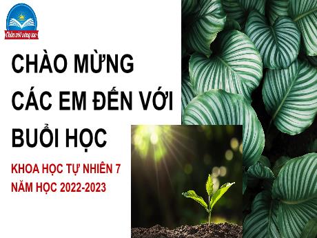 Bài giảng môn KHTN Lớp 7 - Bài 35: Các nhân tố ảnh hưởng đến sự sinh trưởng và phát triển của sinh vật - Năm học 2022-2023