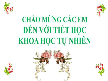 Bài giảng môn KHTN Lớp 7 - Bài 8: Tốc độ chuyển động