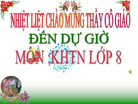Bài giảng môn KHTN Lớp 8 - Bài 13: Khối lượng riêng