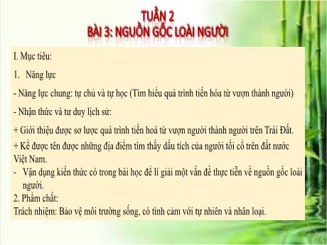 Bài giảng môn Lịch sử Lớp 6 - Tuần 2, Bài 3: Nguồn gốc loài người
