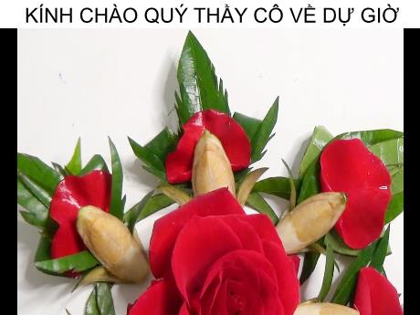 Bài giảng môn Ngữ văn Lớp 6 - Tiết 91: Động từ và điệp ngữ - Dương Thị Phụng