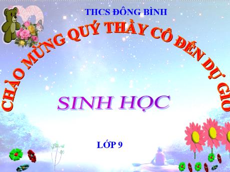 Bài giảng môn Sinh học Lớp 9 - Bài 44: Ảnh hưởng lẫn nhau giữa các sinh vật - Trường THCS Đông Bình
