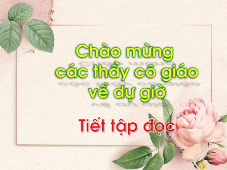 Bài giảng môn Tiếng Việt Lớp 1 - Bài 5: Tiếng vọng của núi