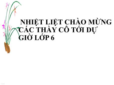 Bài giảng môn Toán học Lớp 6 - Tiết 2, Bài 1: Hình vuông. Tam giác đều. Lục giác đều