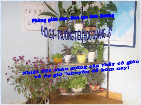 Chuyên đề Một số giải pháp khắc phục khó khăn trong dạy học môn Tự nhiên xã hội Lớp 2, 3 theo mô hình VNEN - Trường Tiểu học Quảng Lập